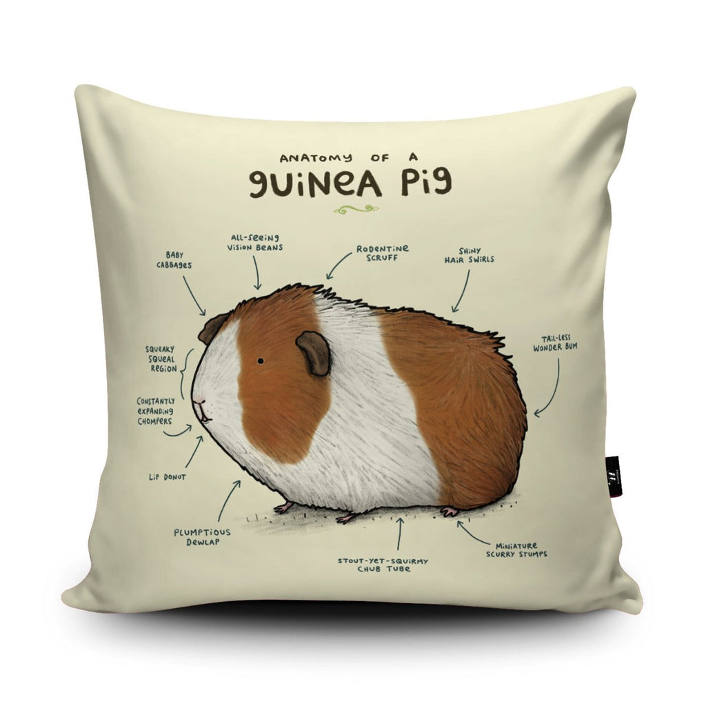 Anatomy of a Guinea Pig Cushion - Sophie Corrigan - Wraptious