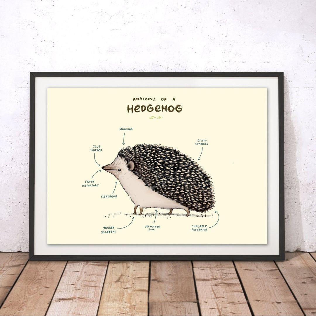 Anatomy of a Hedgehog Original Print - Sophie Corrigan - Wraptious