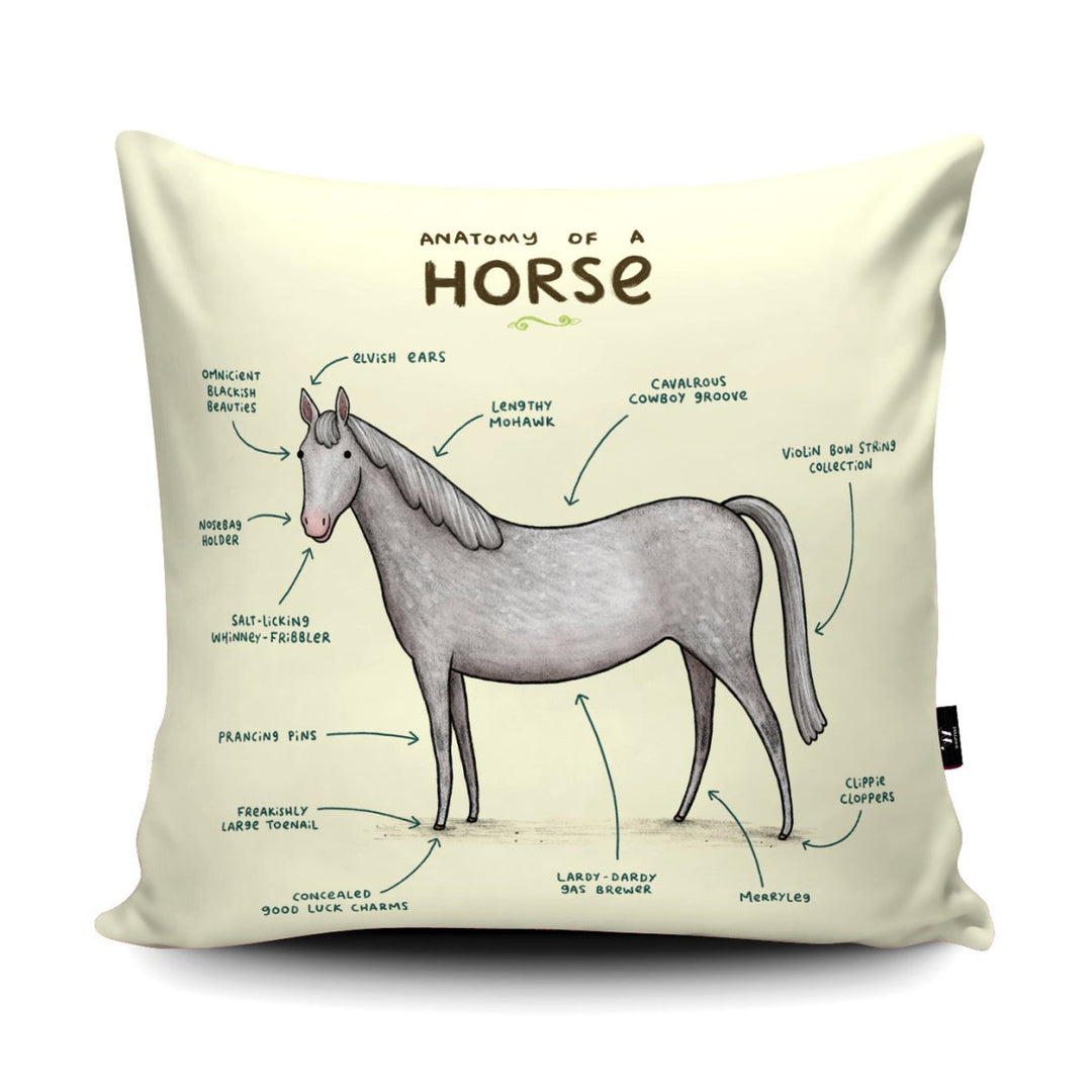 Anatomy of a Horse Cushion - Sophie Corrigan - Wraptious