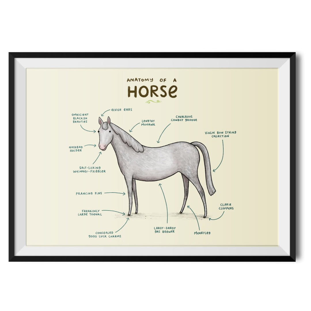 Anatomy of a Horse Original Print - Sophie Corrigan - Wraptious