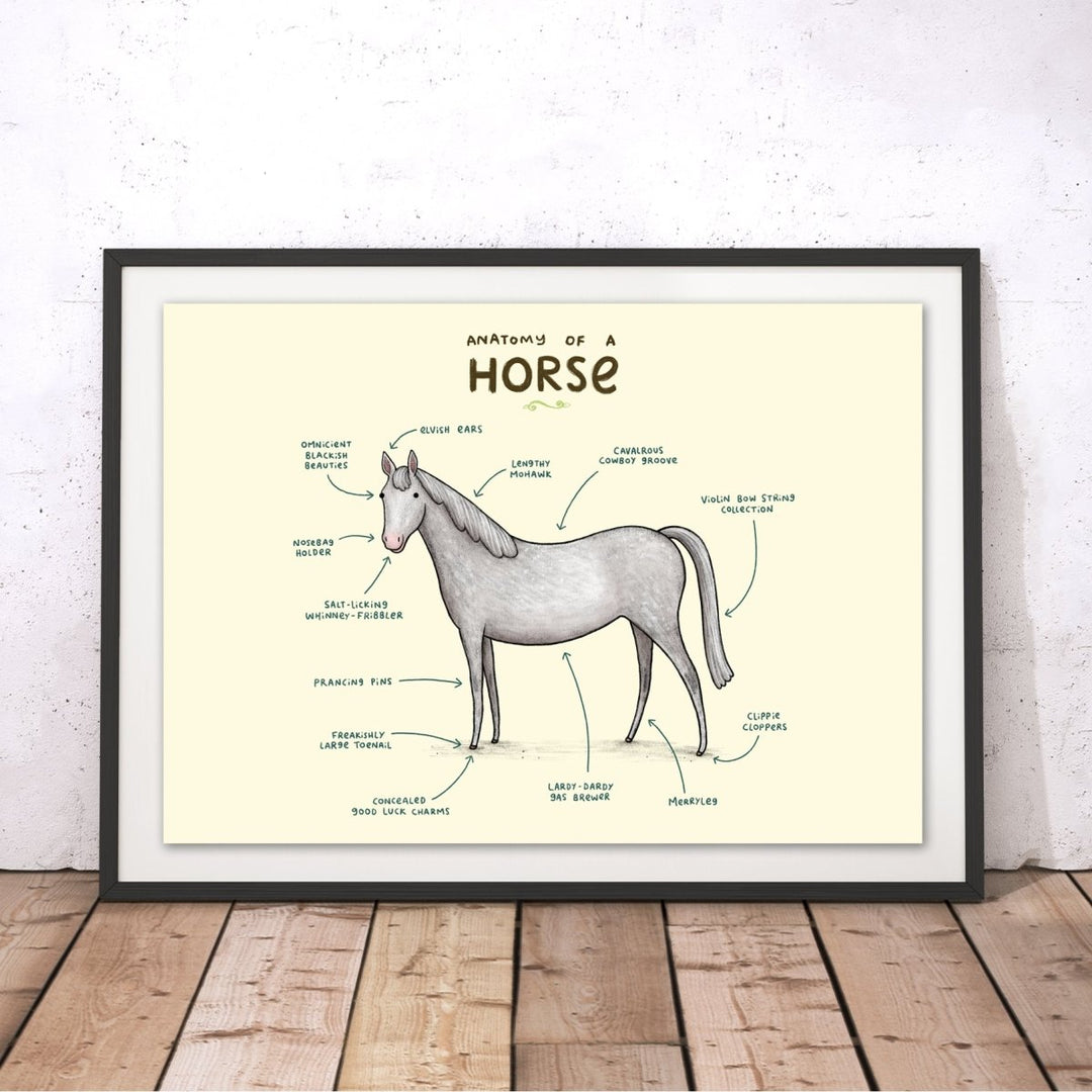 Anatomy of a Horse Original Print - Sophie Corrigan - Wraptious