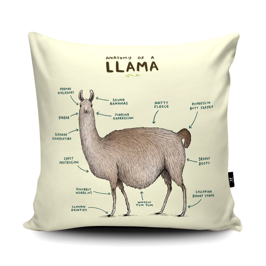 Anatomy of a Llama Cushion - Sophie Corrigan - Wraptious