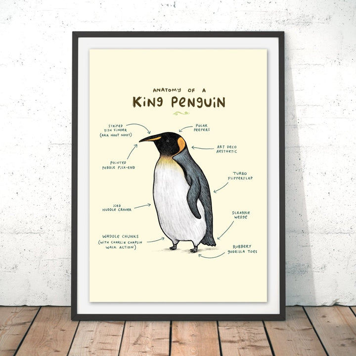 Anatomy of a Penguin Original Print - Sophie Corrigan - Wraptious