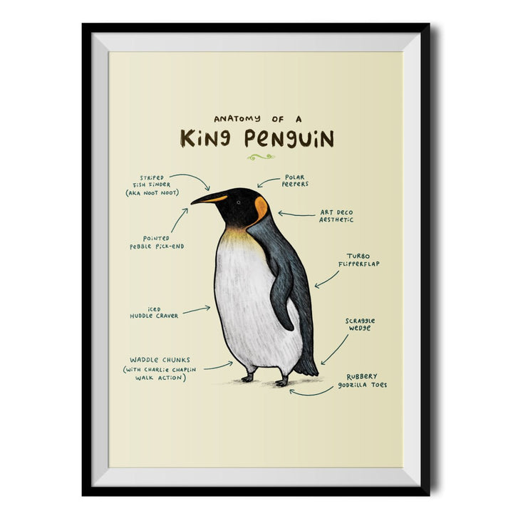 Anatomy of a Penguin Original Print - Sophie Corrigan - Wraptious