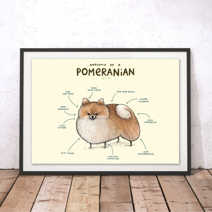 Anatomy of a Pomeranian Original Print - Sophie Corrigan - Wraptious