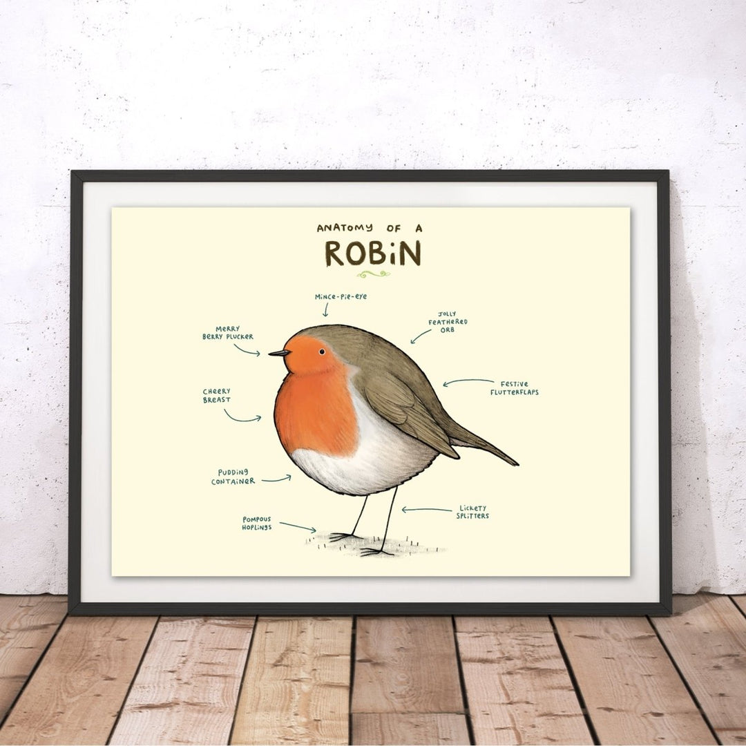 Anatomy of a Robin Original Print - Sophie Corrigan - Wraptious