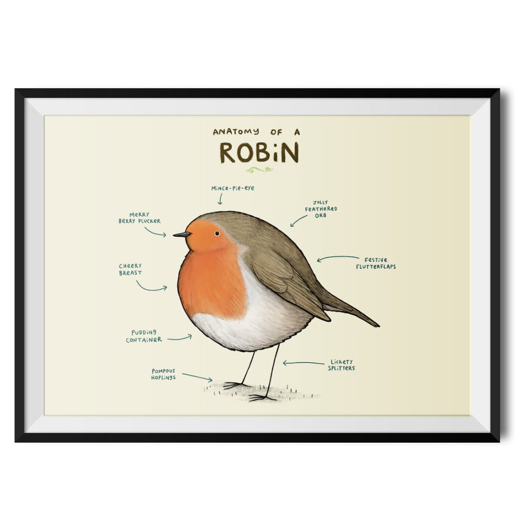 Anatomy of a Robin Original Print - Sophie Corrigan - Wraptious