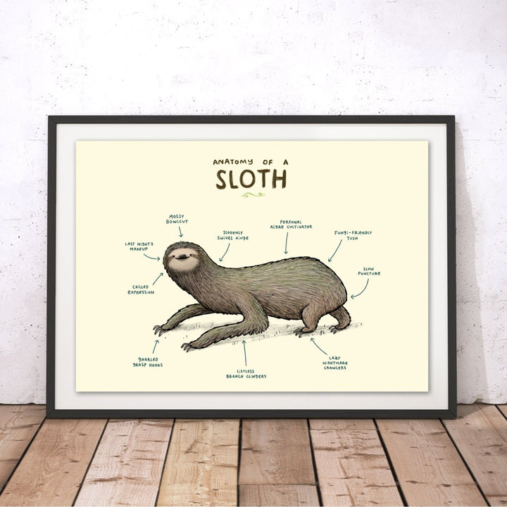 Anatomy of a Sloth Original Print - Sophie Corrigan - Wraptious