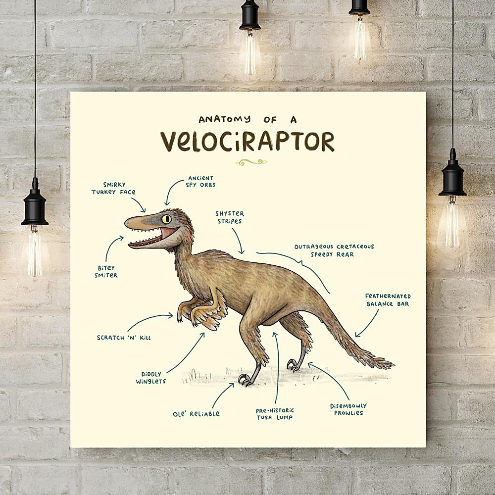 Anatomy of a Velociraptor Deluxe Canvas - Sophie Corrigan - Wraptious
