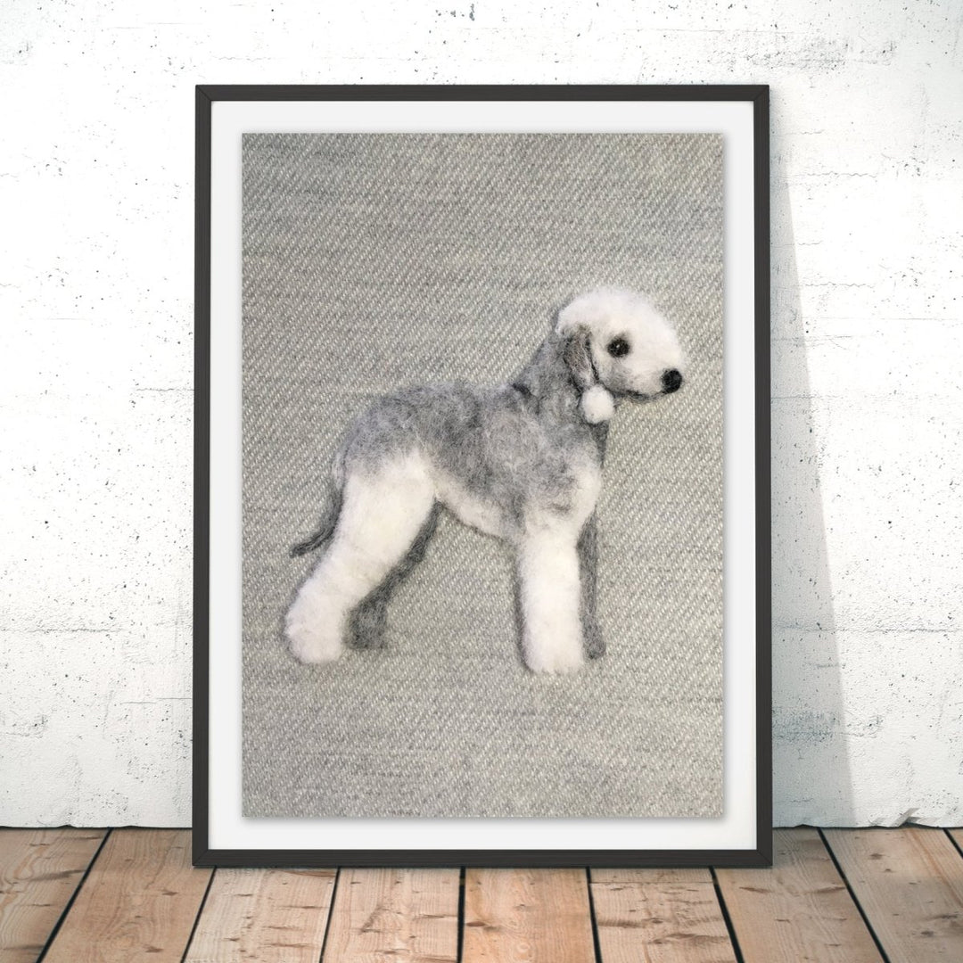 Bedlington Terrier Original Print - Sharon Salt - Wraptious