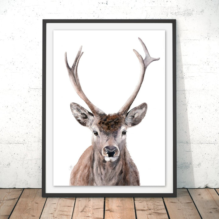 Buck Original Print - Marie Brown - Wraptious