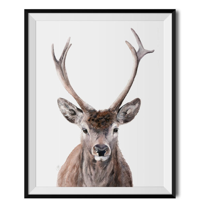 Buck Original Print - Marie Brown - Wraptious