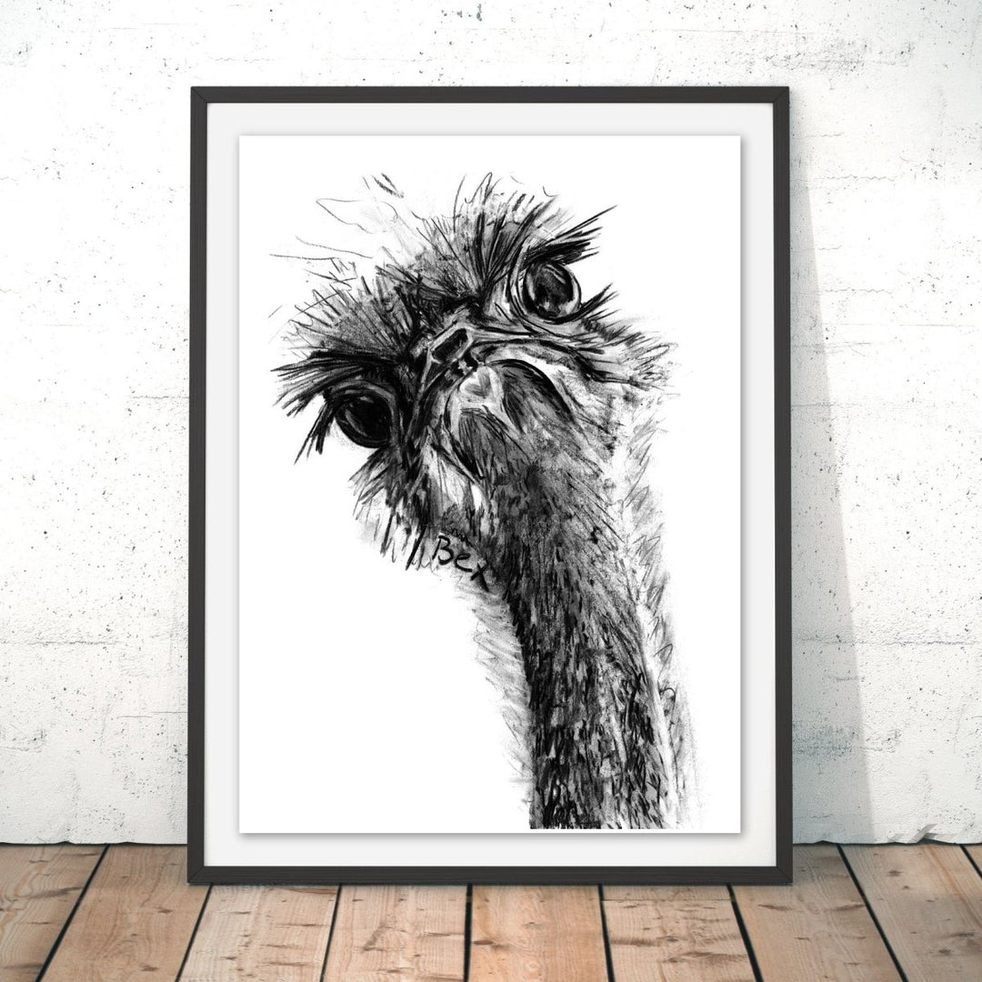 Ostrich Original Print - Bex Williams - Wraptious