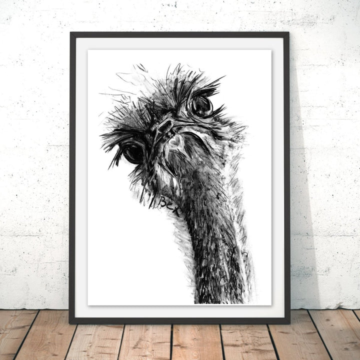 Ostrich Original Print - Bex Williams - Wraptious