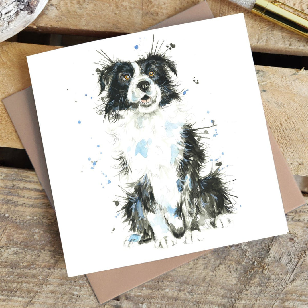 Splatter Border Collie Greetings Card - Katherine Williams - Wraptious