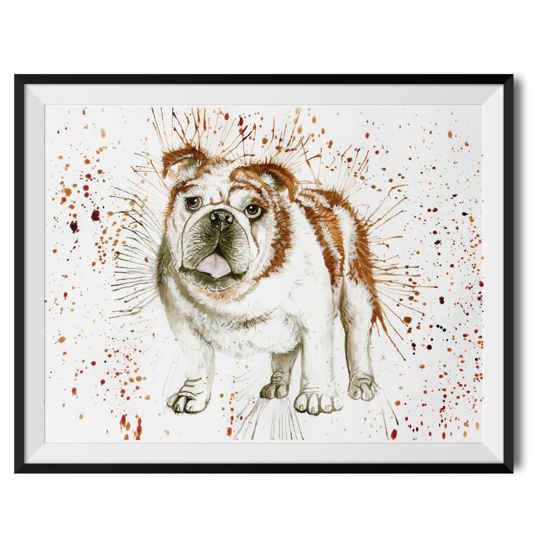 Splatter Bulldog Original Print - Katherine Williams - Wraptious